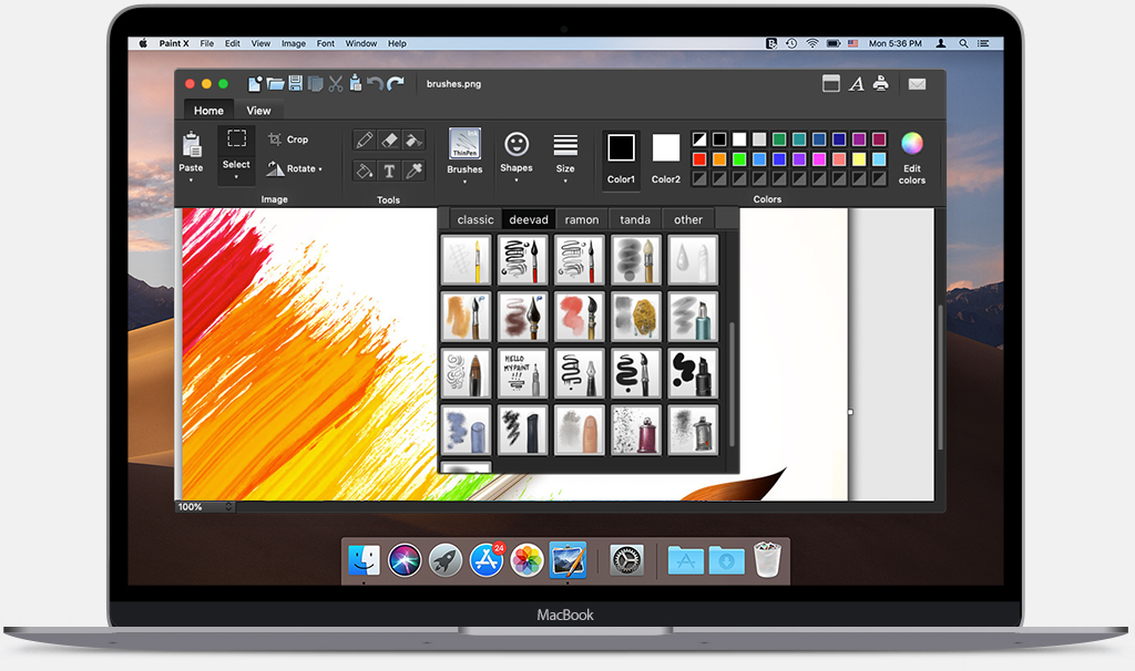 what is the paint equivalent for mac